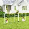 Dog Agility Starter Set with Weave Poles