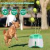 Fetch Machine for Dogs with 6 Balls