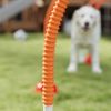 Portable Dog Agility Training Set 5 Pieces Orange