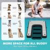 Dog Boat Ramp