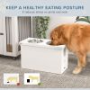 Slow Feeder Elevated Dog Bowls for Large Dogs