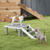 PawHut Wooden Dog Training Platform with Ladder