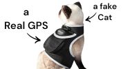 Wireless GPS Dog Tracker Collar XS