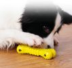 Dog Treat Feeder Toy