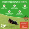 Dog Hip & Joint Supplement Soft Chews