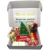 Dog Treats Gift Box Christmas
