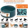 Dog Heated Water Bowl