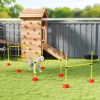Dog Agility  5-Piece Course