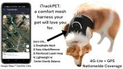 GPS Pet Tracker Realtime Large Dog