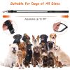 Light-Up Waterproof Dog Walking Leash 5FT