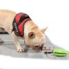 Puppy Training Teething Toy