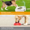 Pet Water Fountain Step-On Dispenser