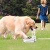 Pet Water Fountain Step-On Dispenser