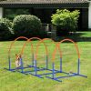 Senior Dog Agility Training Set 4 Piece with Carry Bag
