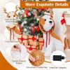 Christmas Dog Figure with LED Lights 43.5 Inch