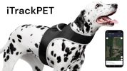 Long Range GPS GSM Pet Tracker Collar XL
