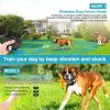 Wireless Electric Dog Fence