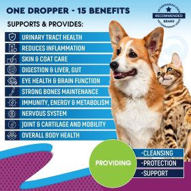Pet Joint and Urinary Supplement