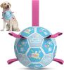 Dog Birthday Toys