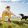 Puppy Chew Toys 20 Pack