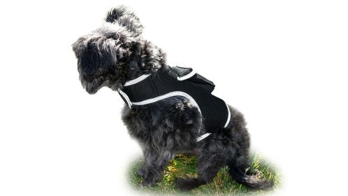 Small Pet GPS Tracker Waterproof L