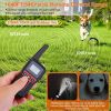 Dog Training Collar