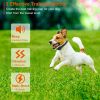 Dog Training Collar