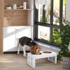 Dog Bowl Feeding Station