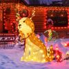 Christmas Dog Figure with LED Lights 43.5 Inch