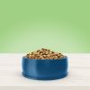 Adult Dog Food Perfect Coat Salmon