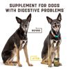 Dog Digestive Probiotic Support