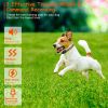 Dog Electric Shock Collar