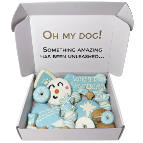 Winter Themed Dog Treats Gift Box