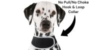 Small Pet GPS Tracker Waterproof L