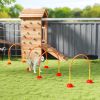 Portable Dog Agility Training Set 5 Pieces Orange