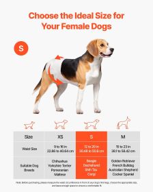Female Dog Diapers S Size
