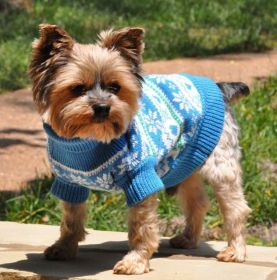Dog Cable Knit Sweater Blue (size: XX-Small)