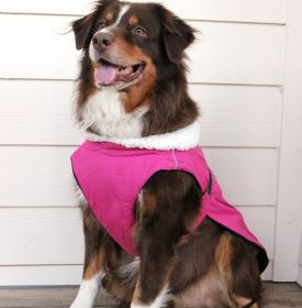 Dog Coat Purple (size: small)