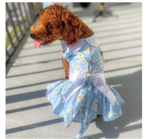 Dog Dress Blue Daisy (size: large)