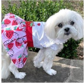 Dog Dress Picnic Harness Leash (size: medium)