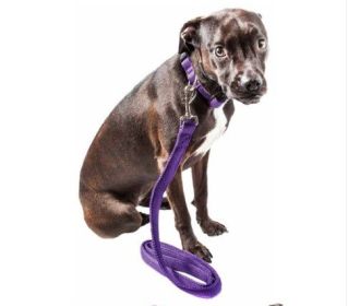Dog Leash Collar Set Adjustable (Color: Purple, size: large)