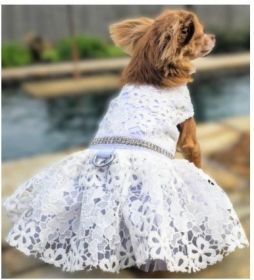Dog White Wedding Dress (size: small)