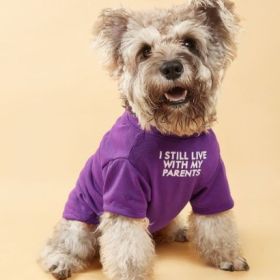 Dog and Cat Clothes Tee (size: L)