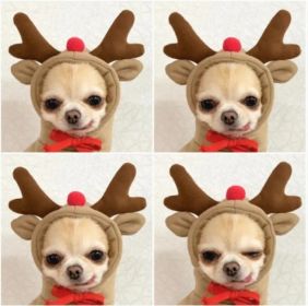 Fruit Print Dog Hoodie (Option: 6 Style-XS)
