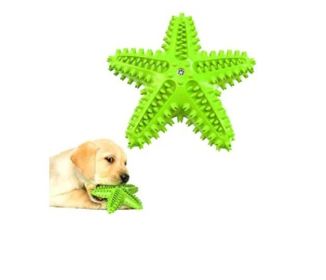 Outdoor Dog Chew Toy Starfish (Color: Green)