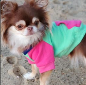 Pink Mint Dog Hoodie (size: small)