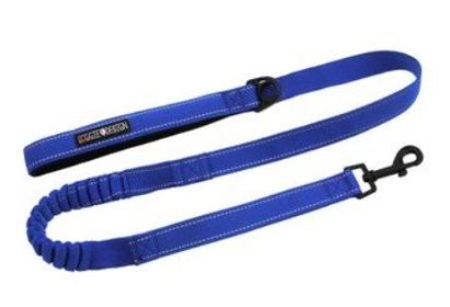 Soft Pull Traffic Dog Leash (Color: Cobalt Blue)