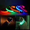 Dog LED Halo Collar