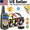 Dog Training US Collar Rechargeable Remote