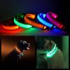 Dog LED Halo Collar
